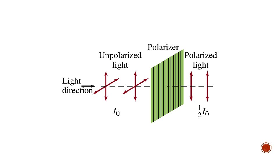 Polarizer 