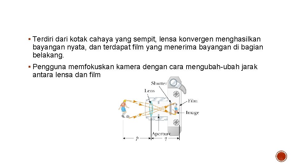 KAMERA § Terdiri dari kotak cahaya yang sempit, lensa konvergen menghasilkan bayangan nyata, dan