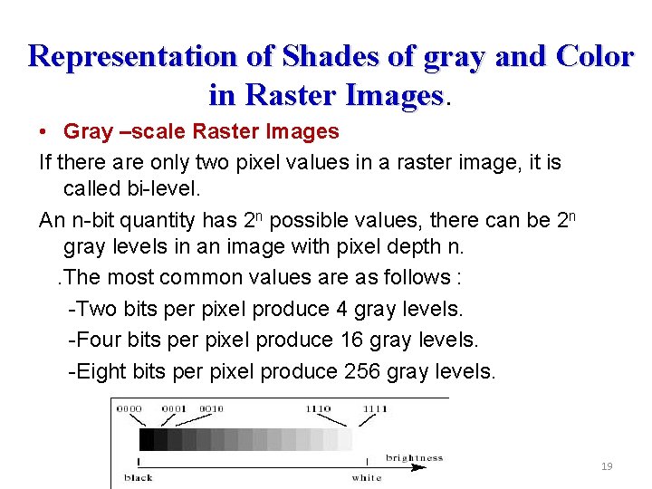 Representation of Shades of gray and Color in Raster Images • Gray –scale Raster