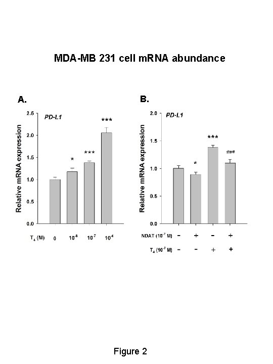 MDA-MB 231 cell m. RNA abundance A. B. Figure 2 