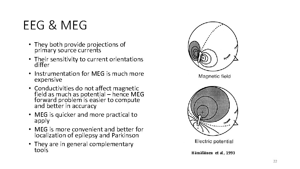 EEG & MEG • They both provide projections of primary source currents • Their