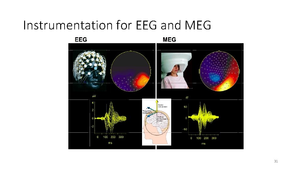 Instrumentation for EEG and MEG 31 