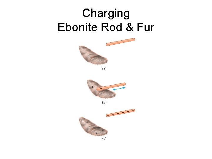 Charging Ebonite Rod & Fur 