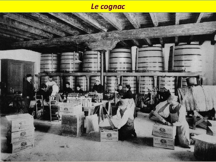 Le cognac 