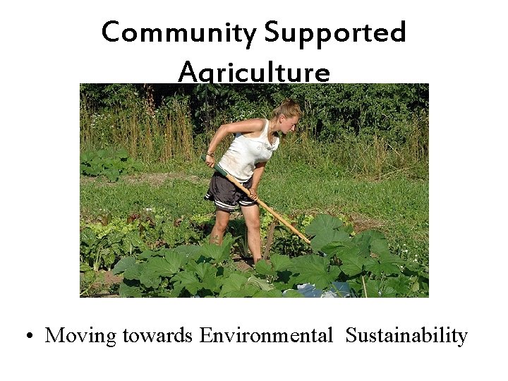 Community Supported Agriculture • Moving towards Environmental Sustainability 