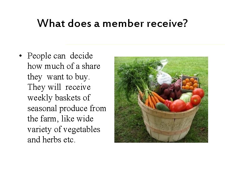 What does a member receive? • People can decide how much of a share