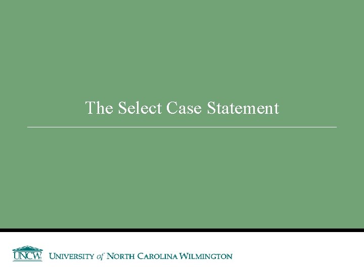 The Select Case Statement 