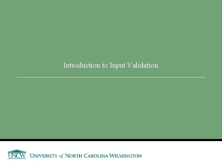Introduction to Input Validation 