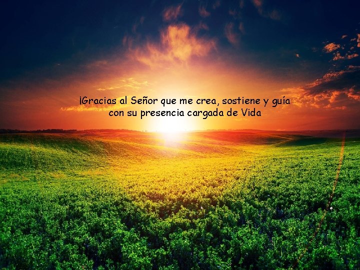 ¡Gracias al Señor que me crea, sostiene y guía con su presencia cargada de