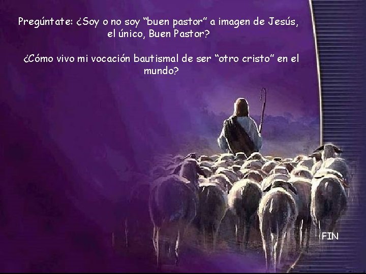 Pregúntate: ¿Soy o no soy “buen pastor” a imagen de Jesús, el único, Buen