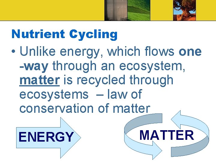 Nutrient Cycling • Unlike energy, which flows one -way through an ecosystem, matter is