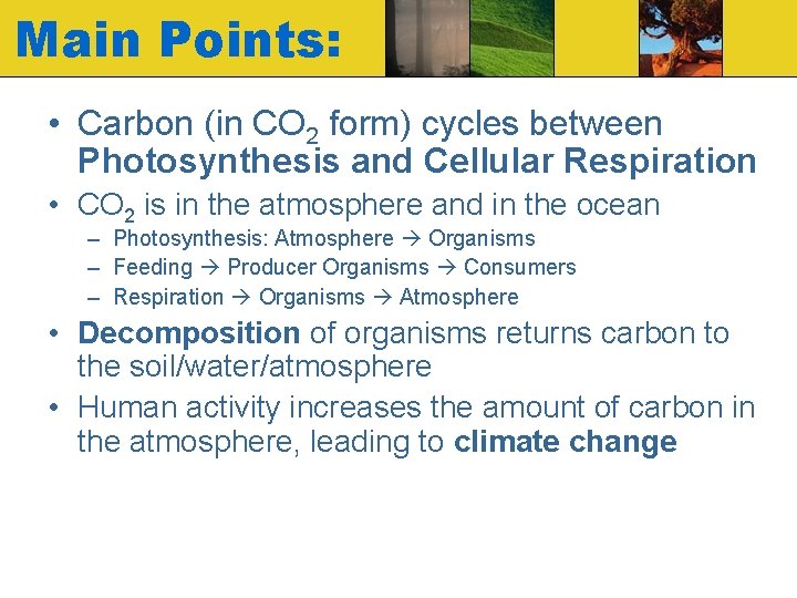 Main Points: • Carbon (in CO 2 form) cycles between Photosynthesis and Cellular Respiration