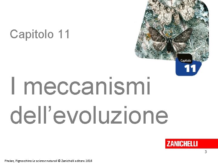 Capitolo 11 I meccanismi dell’evoluzione 3 Phelan, Pignocchino Le scienze naturali © Zanichelli editore