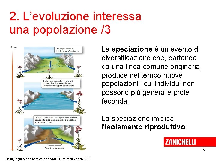 2. L’evoluzione interessa una popolazione /3 La speciazione è un evento di diversificazione che,