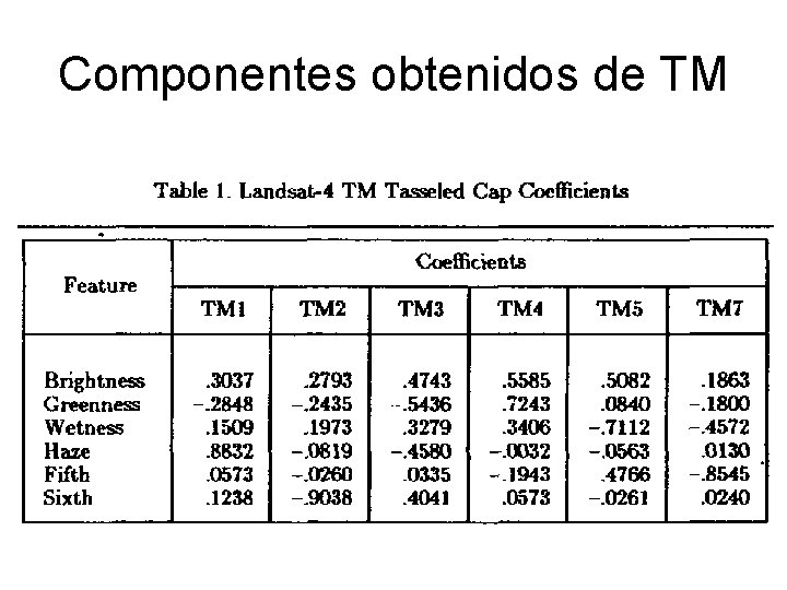 Componentes obtenidos de TM 