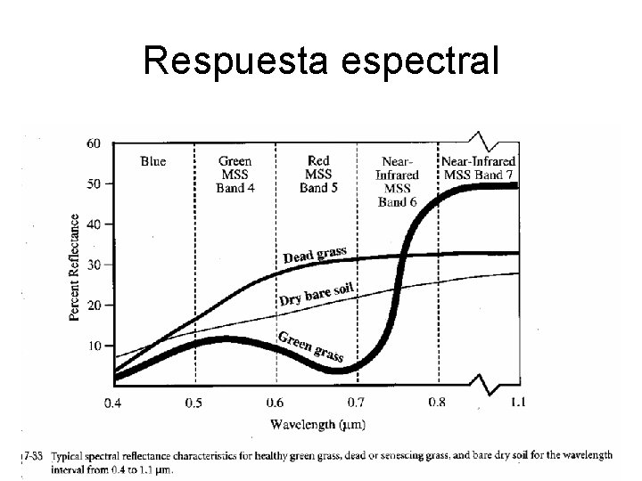 Respuesta espectral 