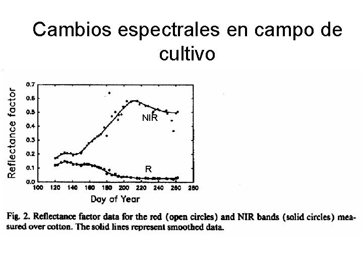 Cambios espectrales en campo de cultivo NIR R 