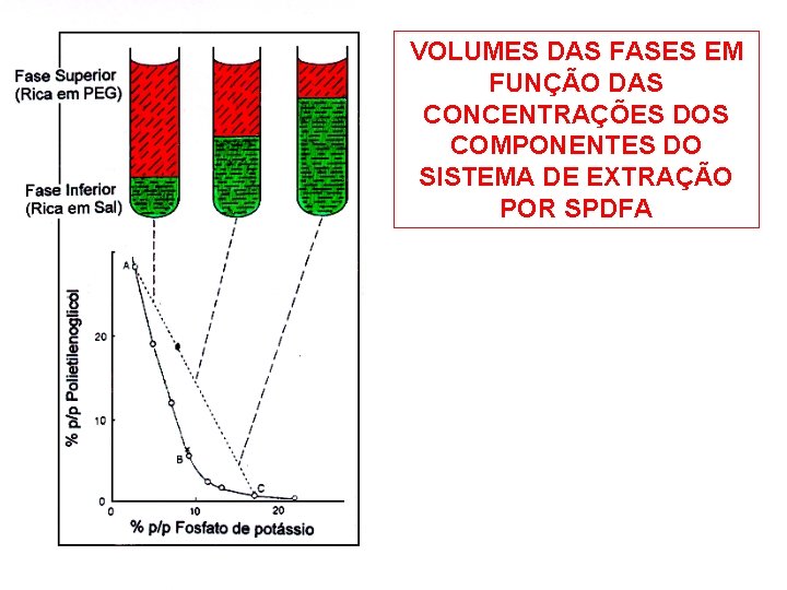 VOLUMES DAS FASES EM FUNÇÃO DAS CONCENTRAÇÕES DOS COMPONENTES DO SISTEMA DE EXTRAÇÃO POR