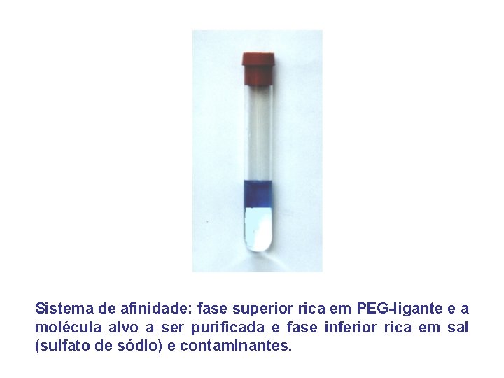 Sistema de afinidade: fase superior rica em PEG-ligante e a molécula alvo a ser