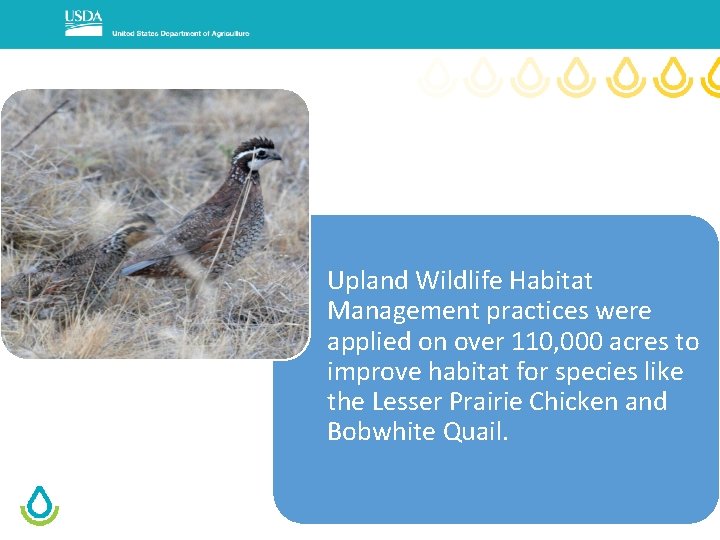 Upland Wildlife Habitat Management practices were applied on over 110, 000 acres to improve