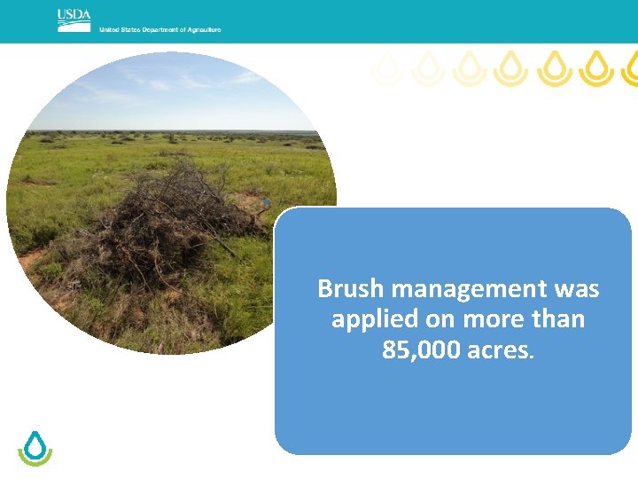 Brush management was applied on more than 85, 000 acres. Natural Resources Conservation Service