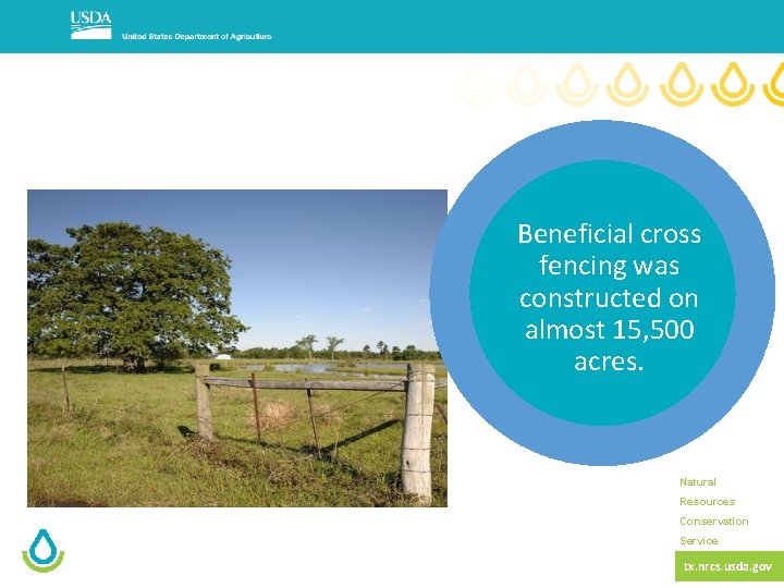 Beneficial cross fencing was constructed on almost 15, 500 acres. Natural Resources Conservation Service