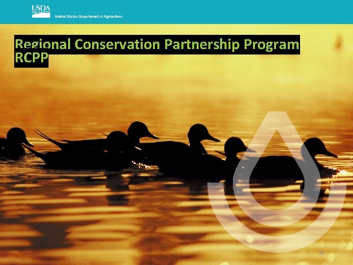 Regional Conservation Partnership Program RCPP 20 