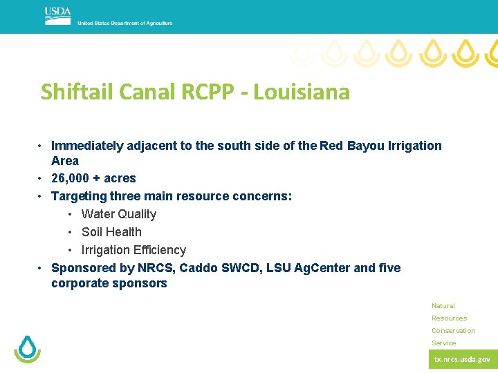 Shiftail Canal RCPP - Louisiana • Immediately adjacent to the south side of the