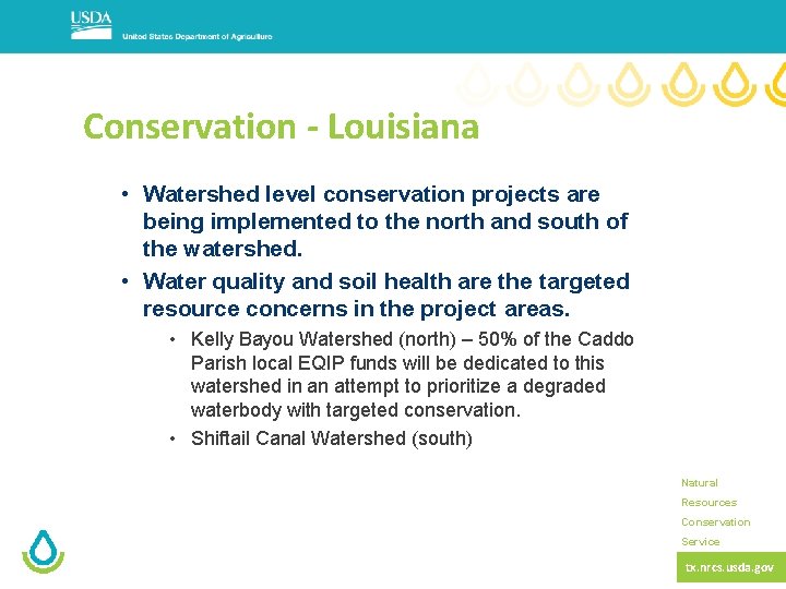 Conservation - Louisiana • Watershed level conservation projects are being implemented to the north