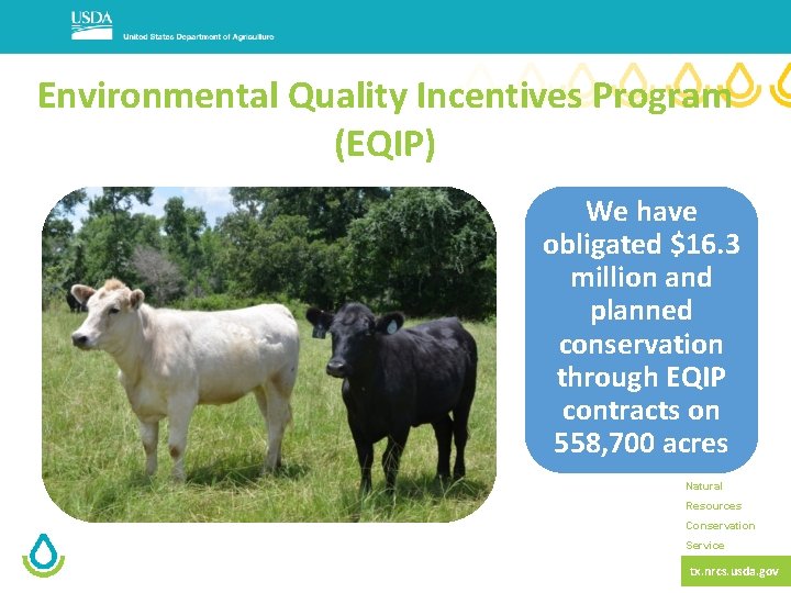 Environmental Quality Incentives Program (EQIP) We have obligated $16. 3 million and planned conservation