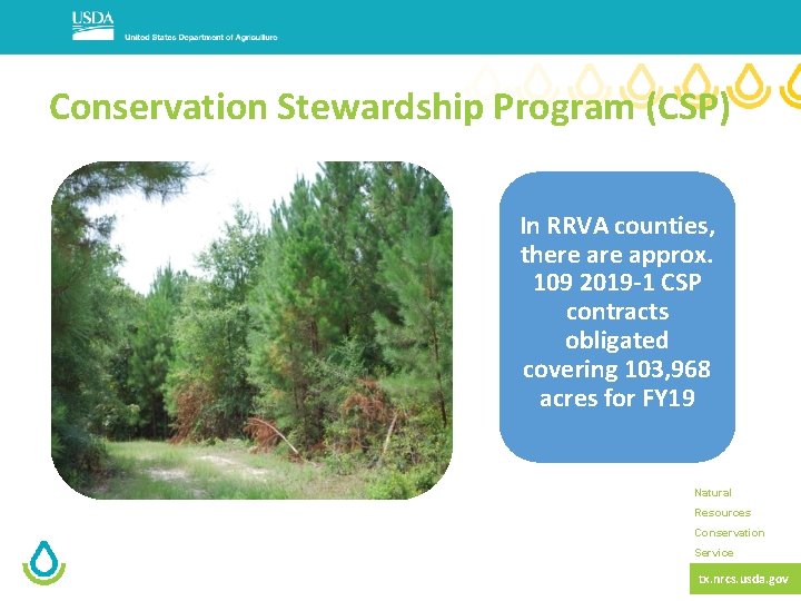 Conservation Stewardship Program (CSP) In RRVA counties, there approx. 109 2019 -1 CSP contracts