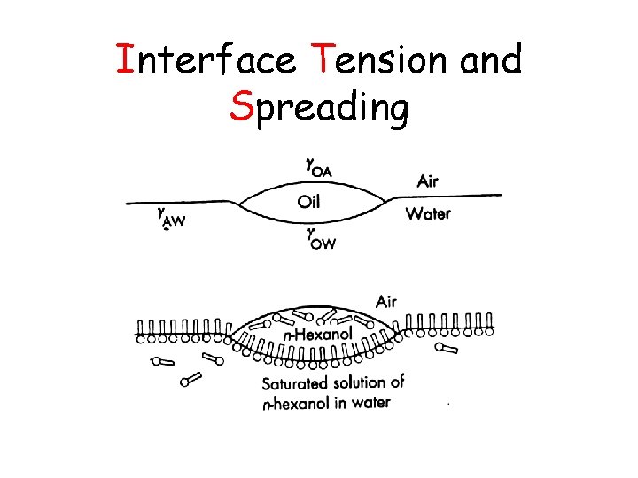 Interface Tension and Spreading 