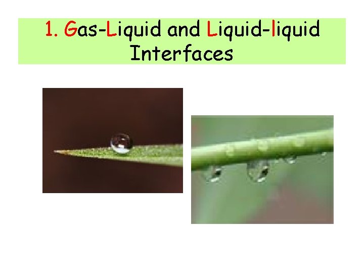 1. Gas-Liquid and Liquid-liquid Interfaces 