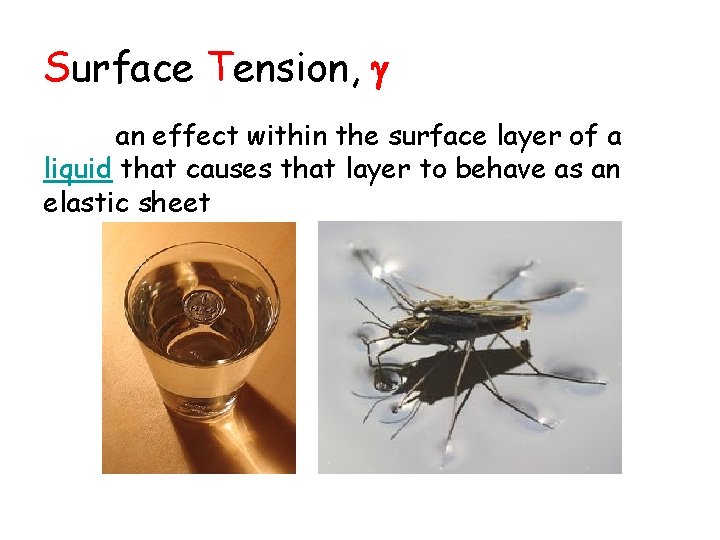 Surface Tension, an effect within the surface layer of a liquid that causes that