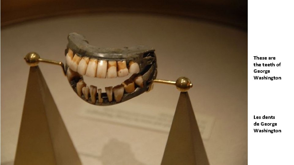 These are the teeth of George Washington Les dents de George Washington 
