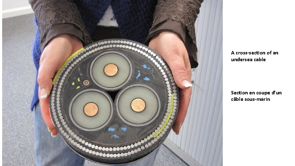 A cross-section of an undersea cable Section en coupe d’un câble sous-marin 