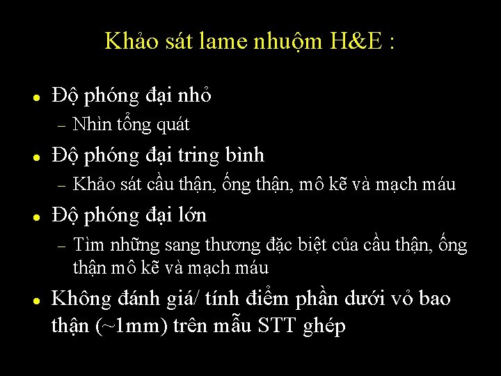 Khảo sát lame nhuộm H&E : l Độ phóng đại nhỏ – l Độ