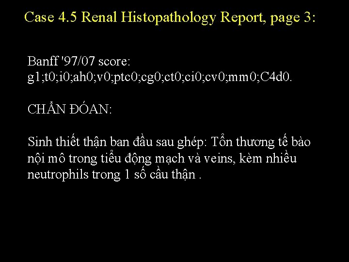 Case 4. 5 Renal Histopathology Report, page 3: Banff '97/07 score: g 1; t