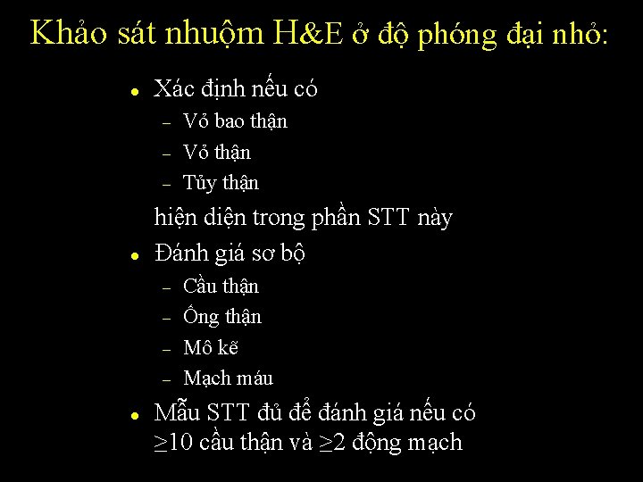 Khảo sát nhuộm H&E ở độ phóng đại nhỏ: l Xác định nếu có