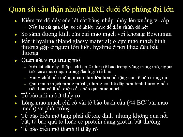 Quan sát cầu thận nhuộm H&E dưới độ phóng đại lớn l Kiểm tra