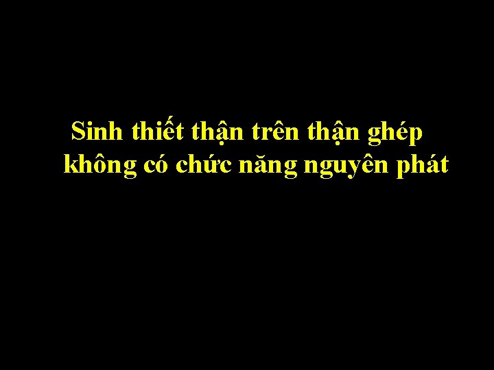 Sinh thiết thận trên thận ghép không có chức năng nguyên phát Sinh thiết thận trên thận ghép không có chức năng nguyên phát