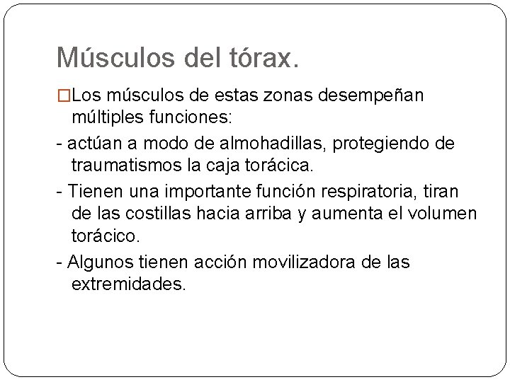 Músculos del tórax. �Los músculos de estas zonas desempeñan múltiples funciones: - actúan a