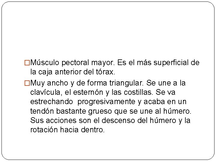 �Músculo pectoral mayor. Es el más superficial de la caja anterior del tórax. �Muy