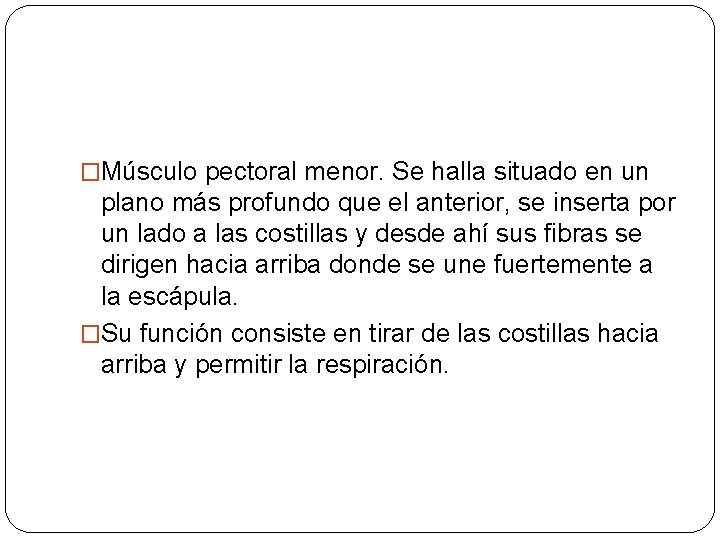 �Músculo pectoral menor. Se halla situado en un plano más profundo que el anterior,