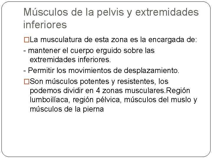 Músculos de la pelvis y extremidades inferiores �La musculatura de esta zona es la