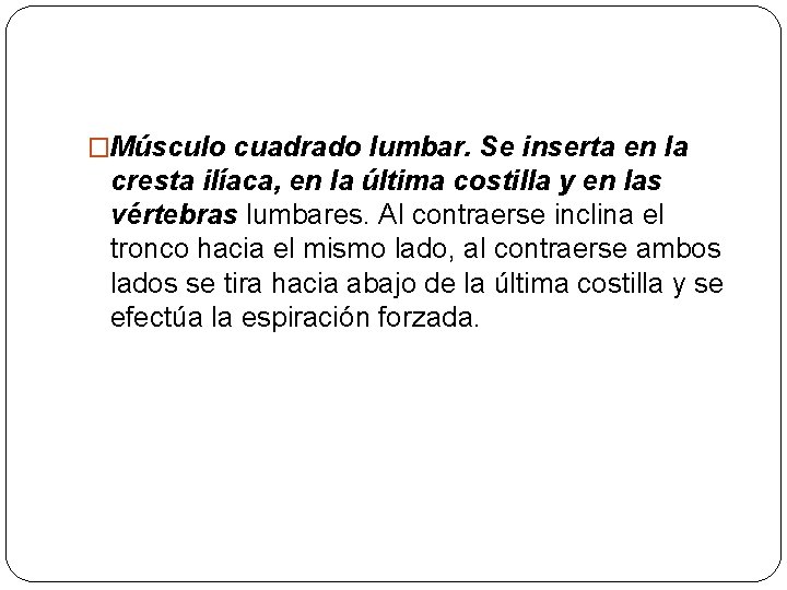 �Músculo cuadrado lumbar. Se inserta en la cresta ilíaca, en la última costilla y