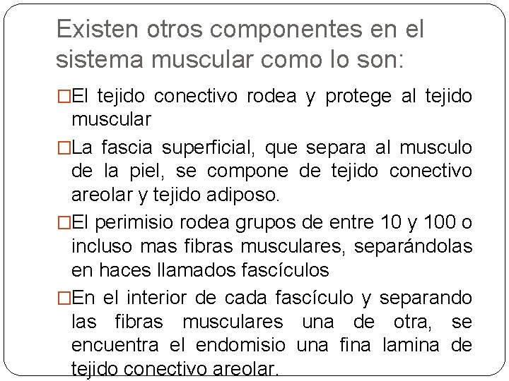 Existen otros componentes en el sistema muscular como lo son: �El tejido conectivo rodea