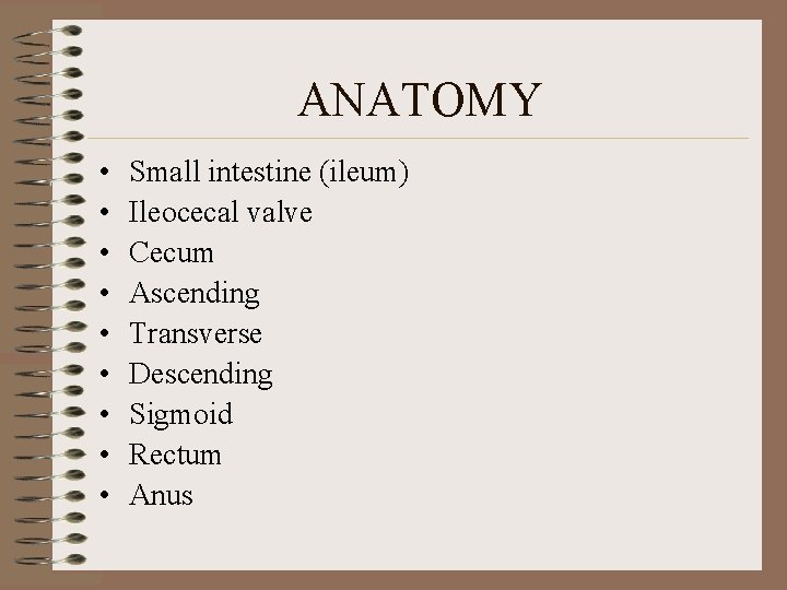 ANATOMY • • • Small intestine (ileum) Ileocecal valve Cecum Ascending Transverse Descending Sigmoid ANATOMY • • • Small intestine (ileum) Ileocecal valve Cecum Ascending Transverse Descending Sigmoid