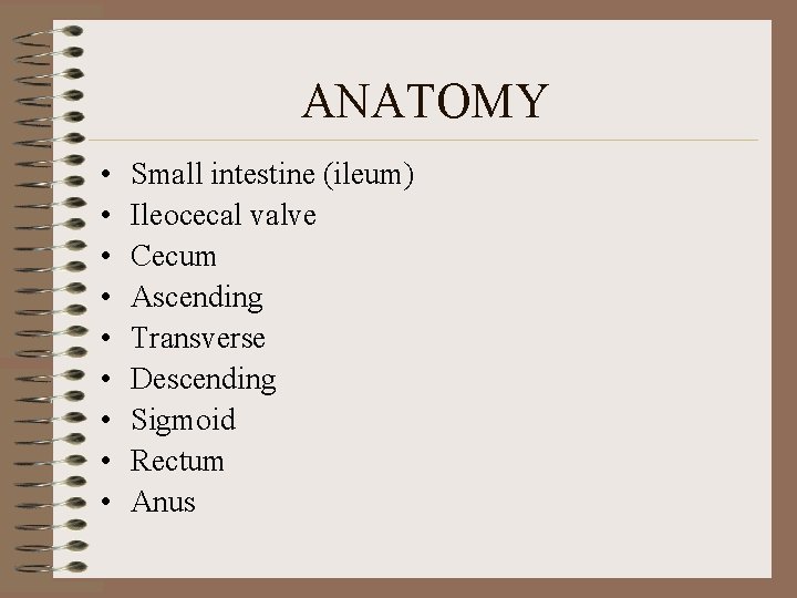 ANATOMY • • • Small intestine (ileum) Ileocecal valve Cecum Ascending Transverse Descending Sigmoid