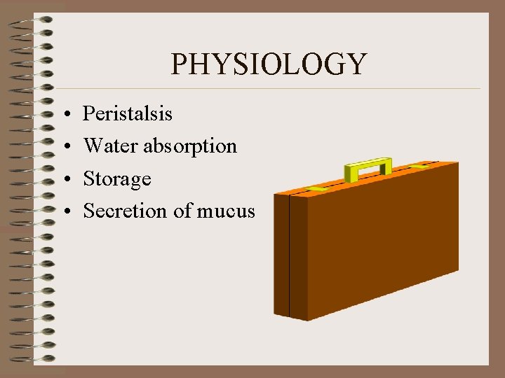 PHYSIOLOGY • • Peristalsis Water absorption Storage Secretion of mucus 